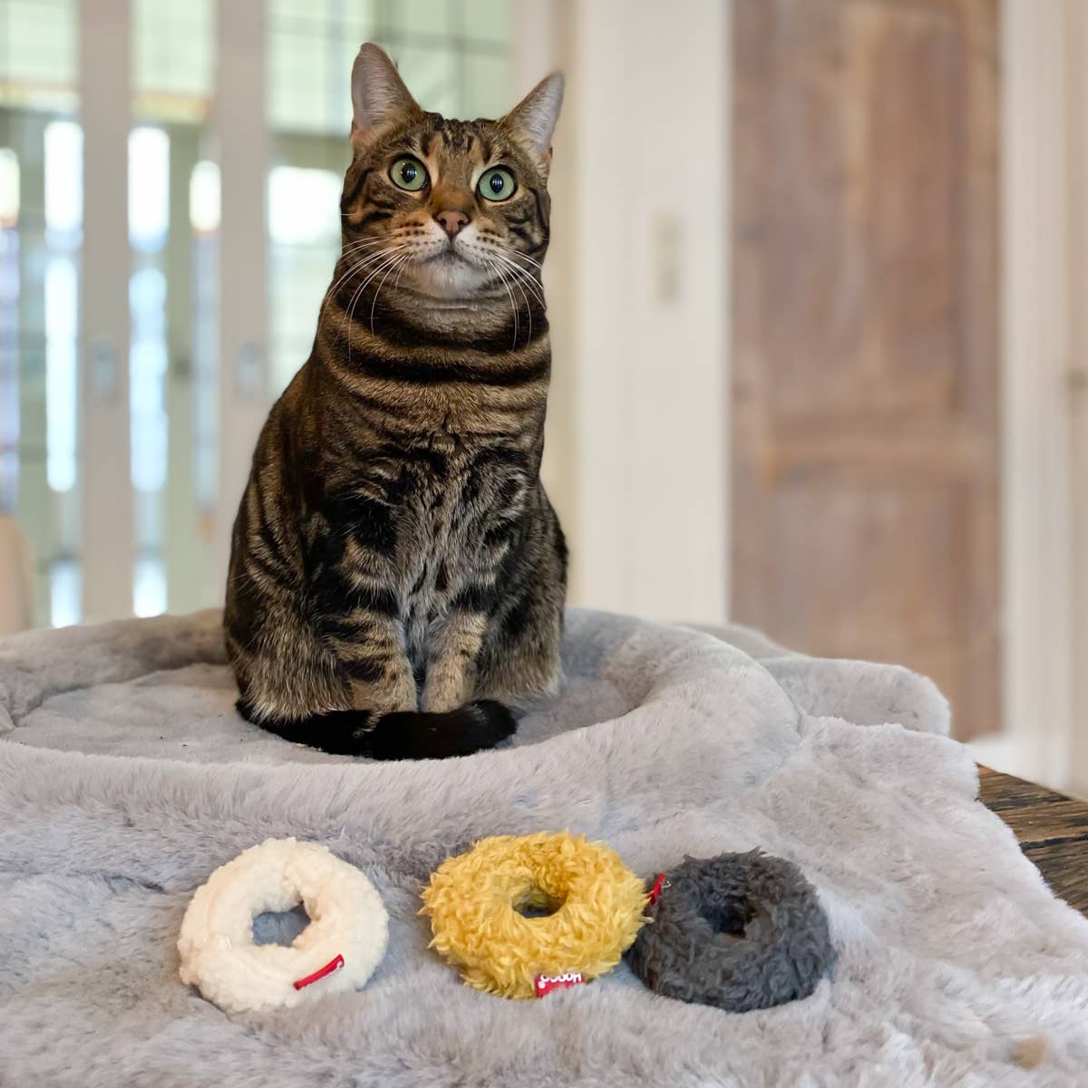 Jouet chat Mini Donuts 3x