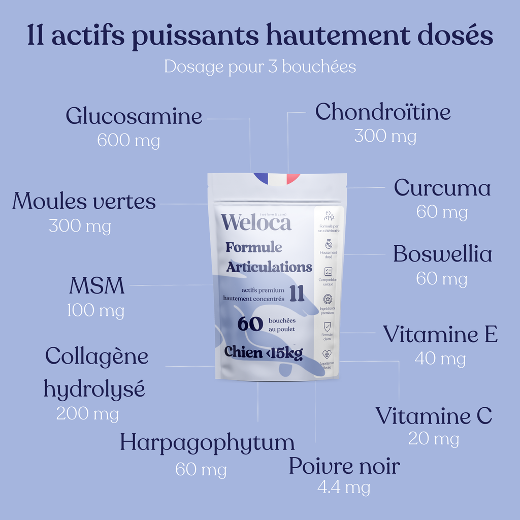 Bouchées articulaires pour chien - 60 bouchées - WELOCA