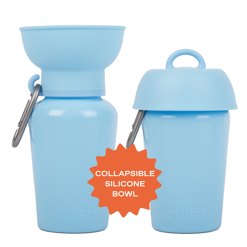 Gourde Portable Springland Pets — 591 ml