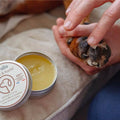 Baume truffe et coussinets 50 ml