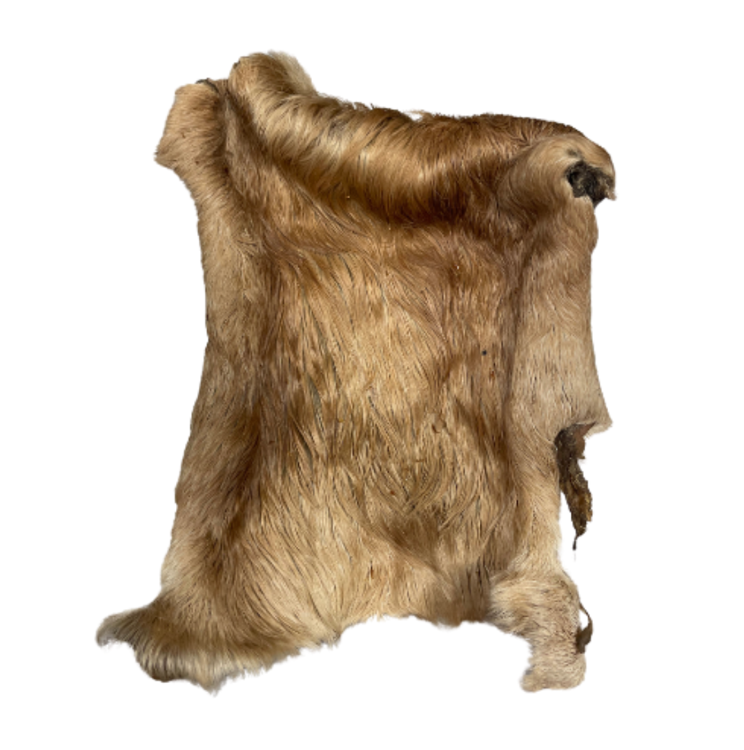 Plaque de peau de boeuf avec poils