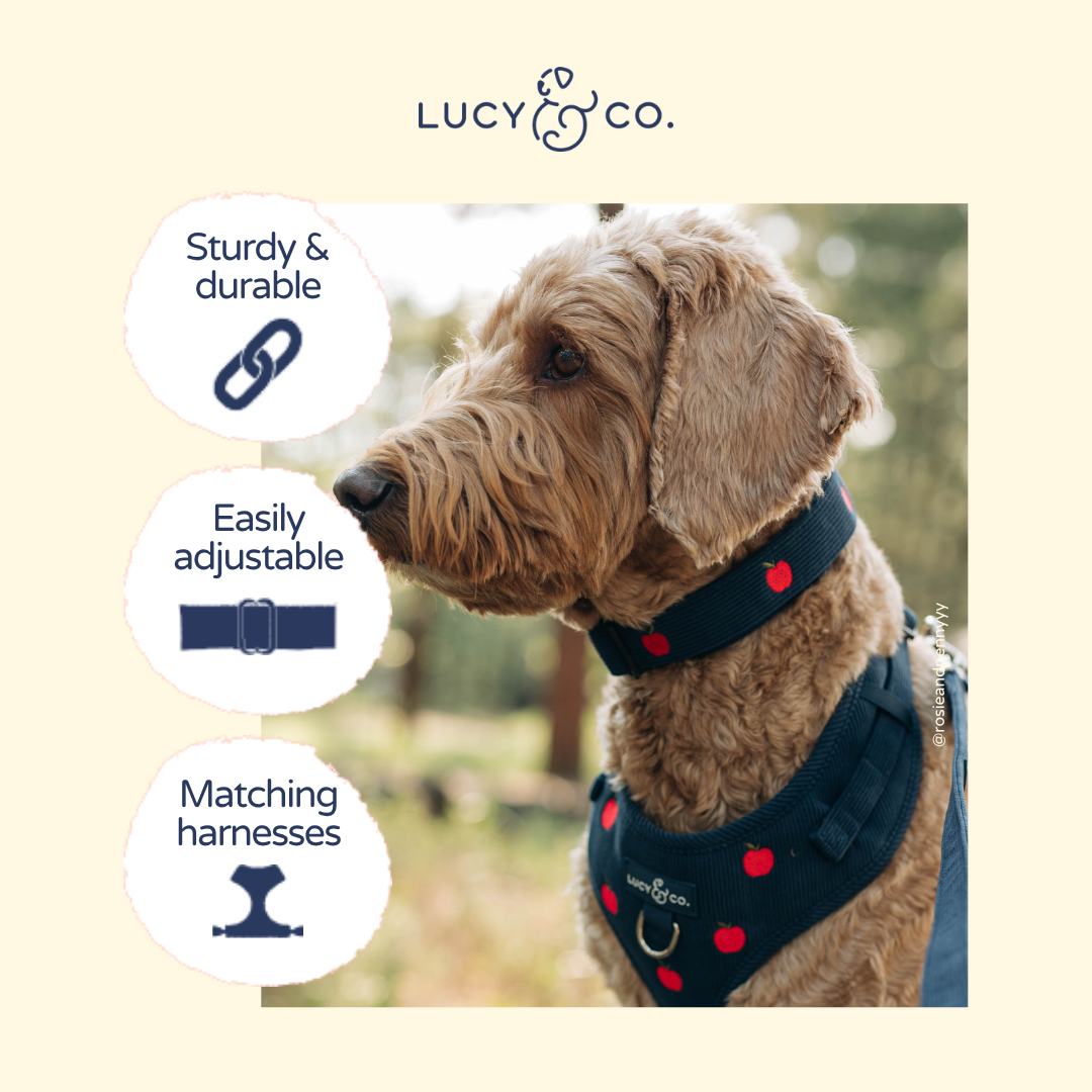 Collier Appley Ever After – Lucy & Co - Automne