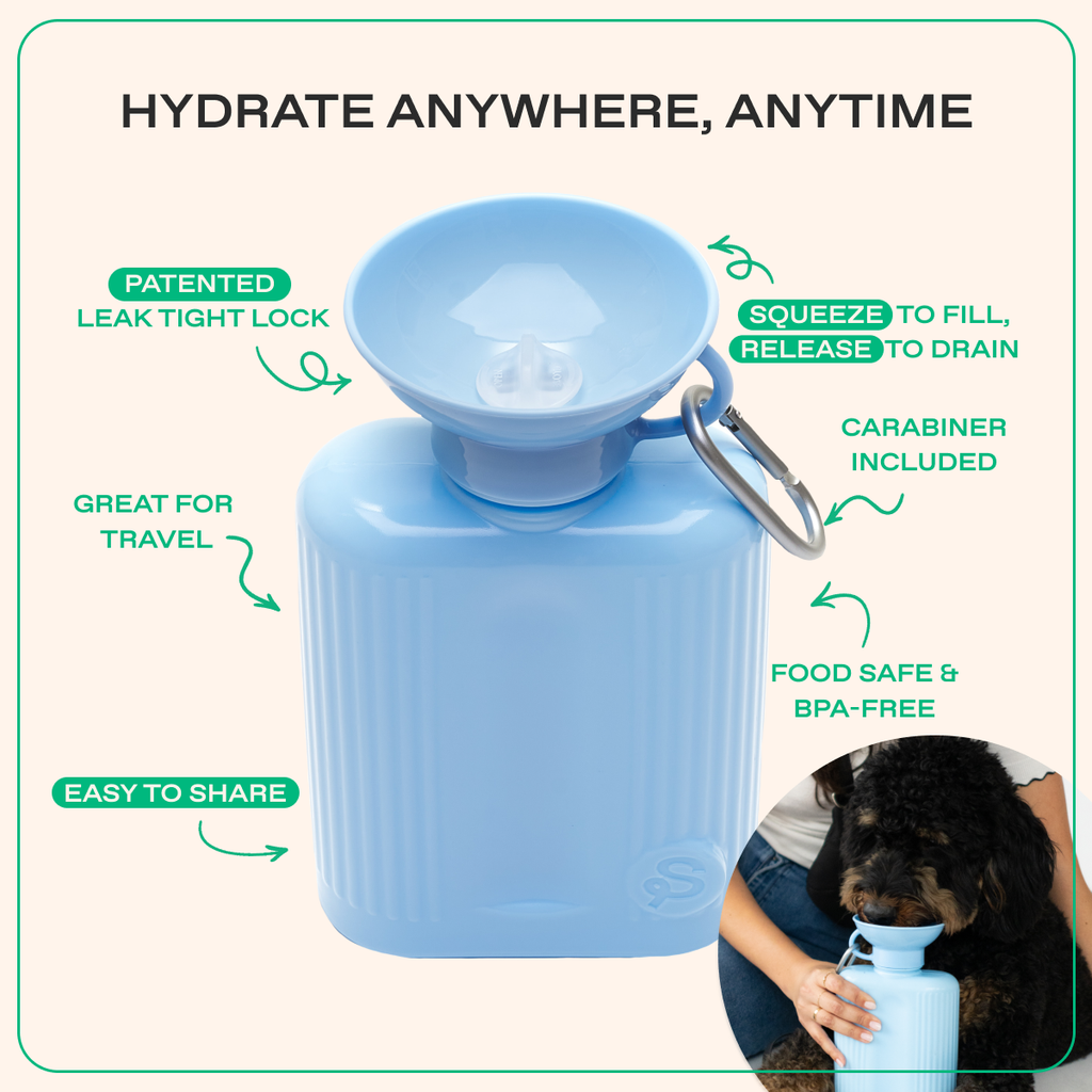 Gourde Portable Springland Pets XXL  — 1,3 L