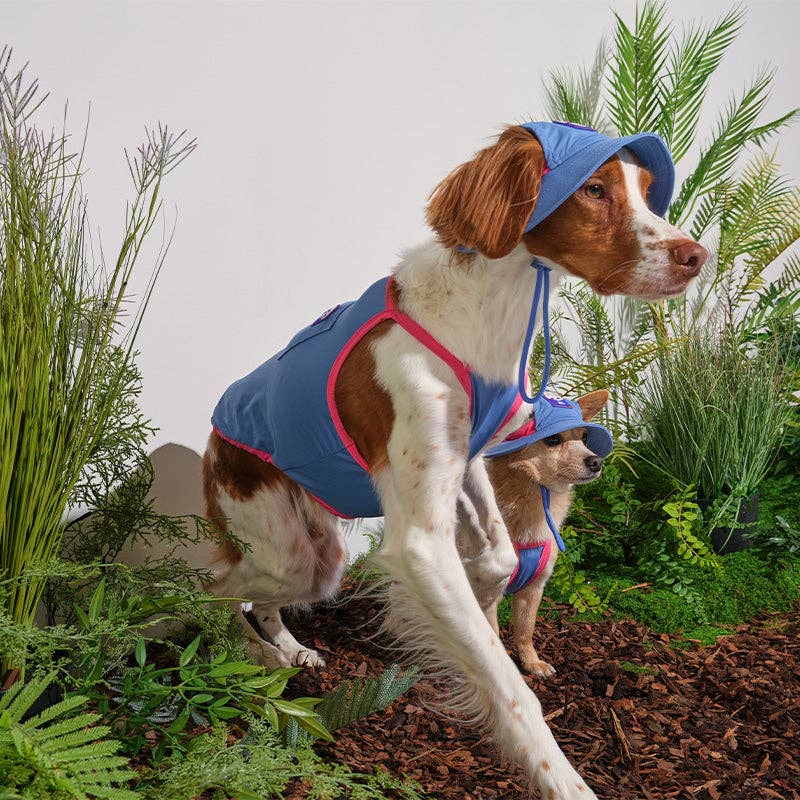 Bob Rafraîchissant Outside+ – Puppy Gallery | Coloris Bleu