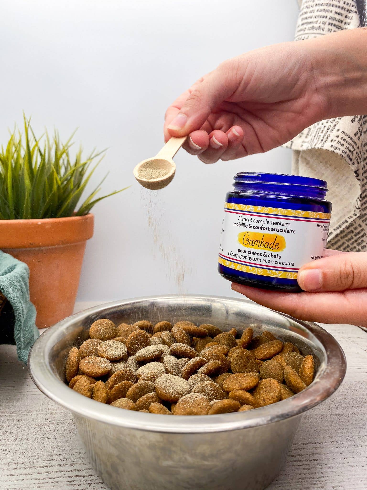 Immunité - Complément alimentaire