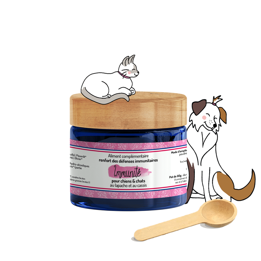 Immunité - Complément alimentaire