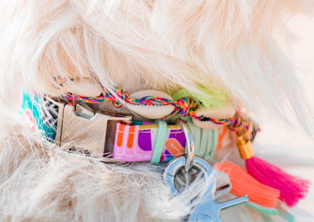 Collier Coquillages Bohème – Frimousse Dog