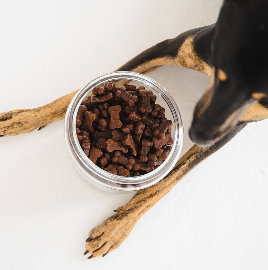 Friandises pour chiens Gizzls Soft Bites au beurre de cacahuète et à la banane (150 g)