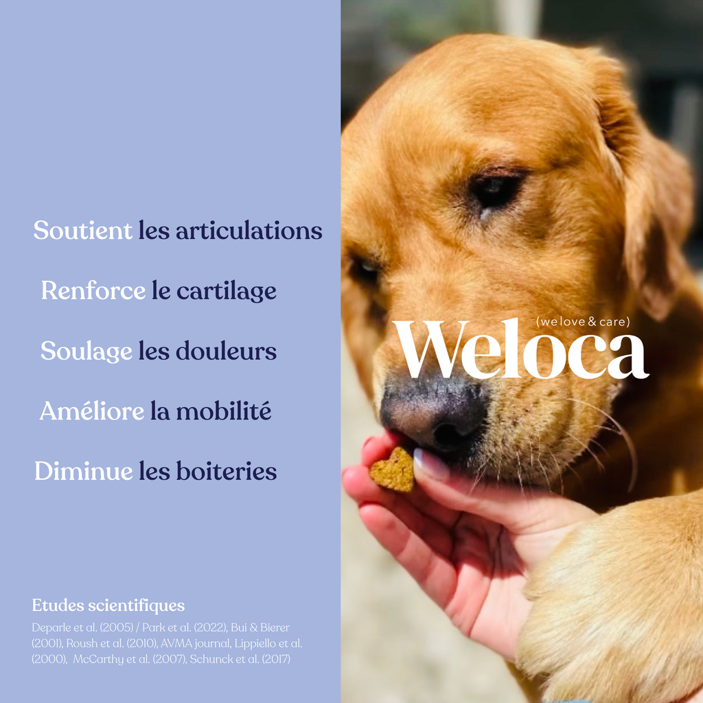 Bouchées articulaires pour chien - 60 bouchées - WELOCA
