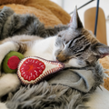Jouet pour chat OLIVE + FIGUE