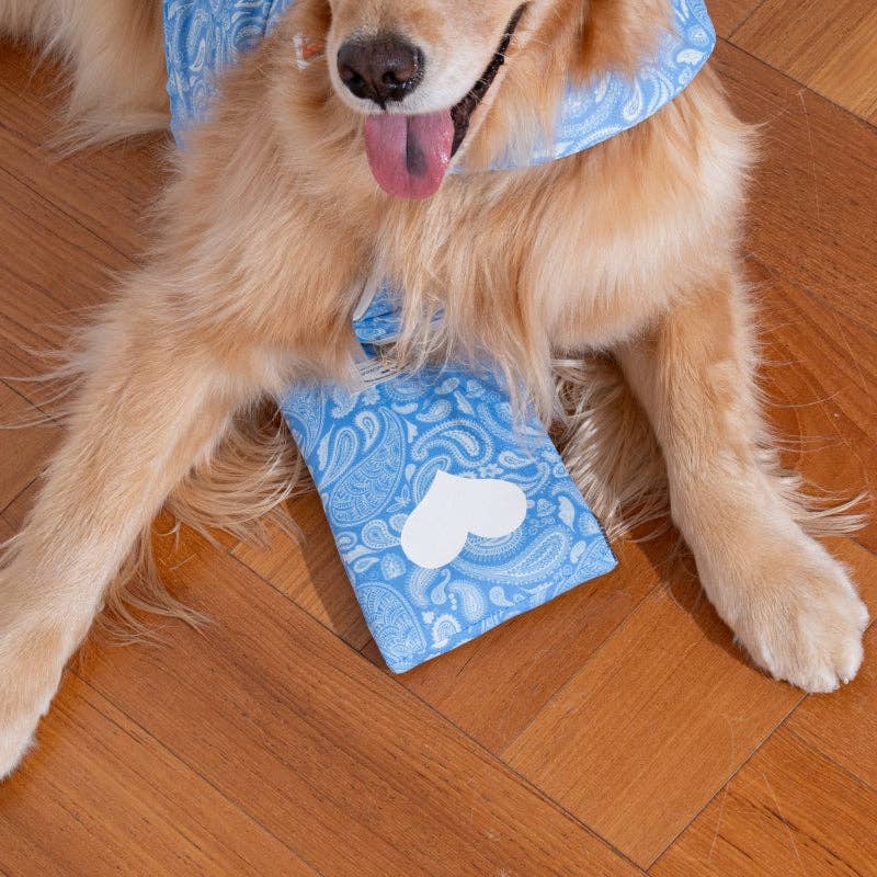 Puppy Gallery – Pochette pour pack de glace Paisley Lover