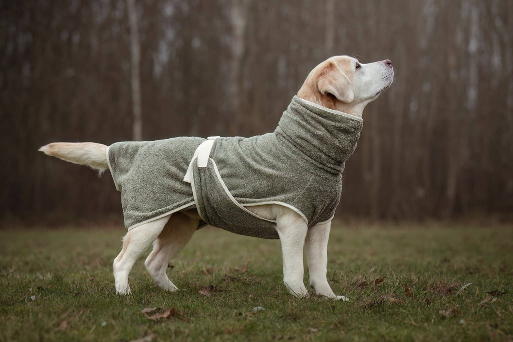 Peignoir pour chien fait main