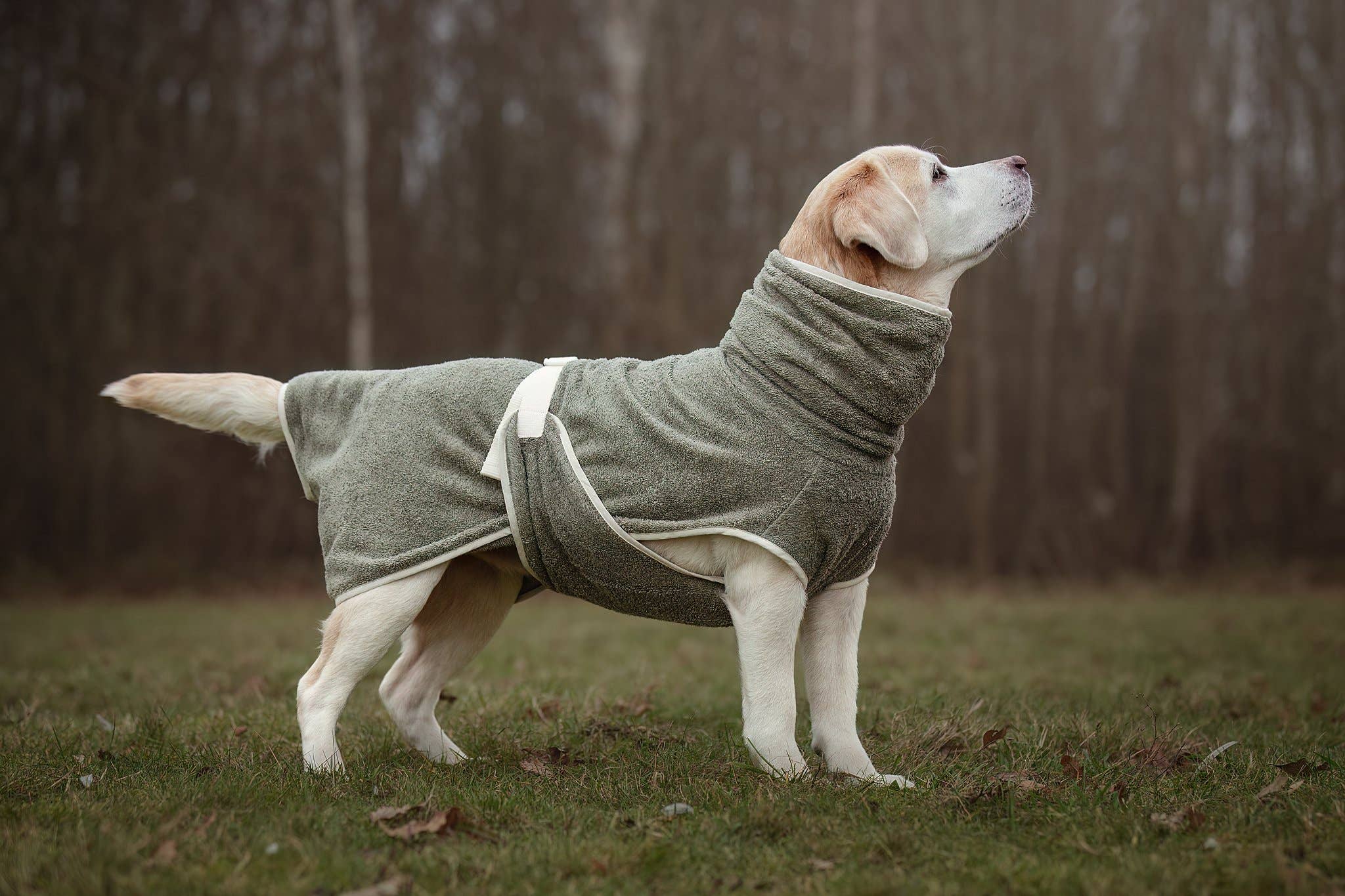 Peignoir pour chien fait main