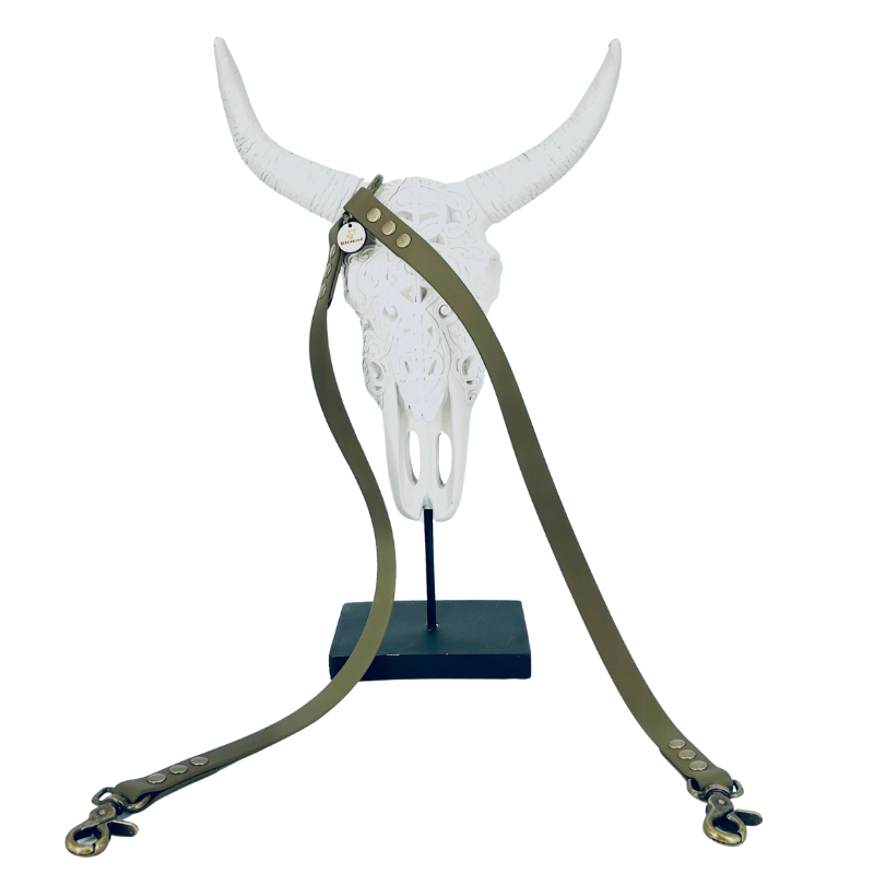 Coupleur laisse chien - biothane - coloris au choix