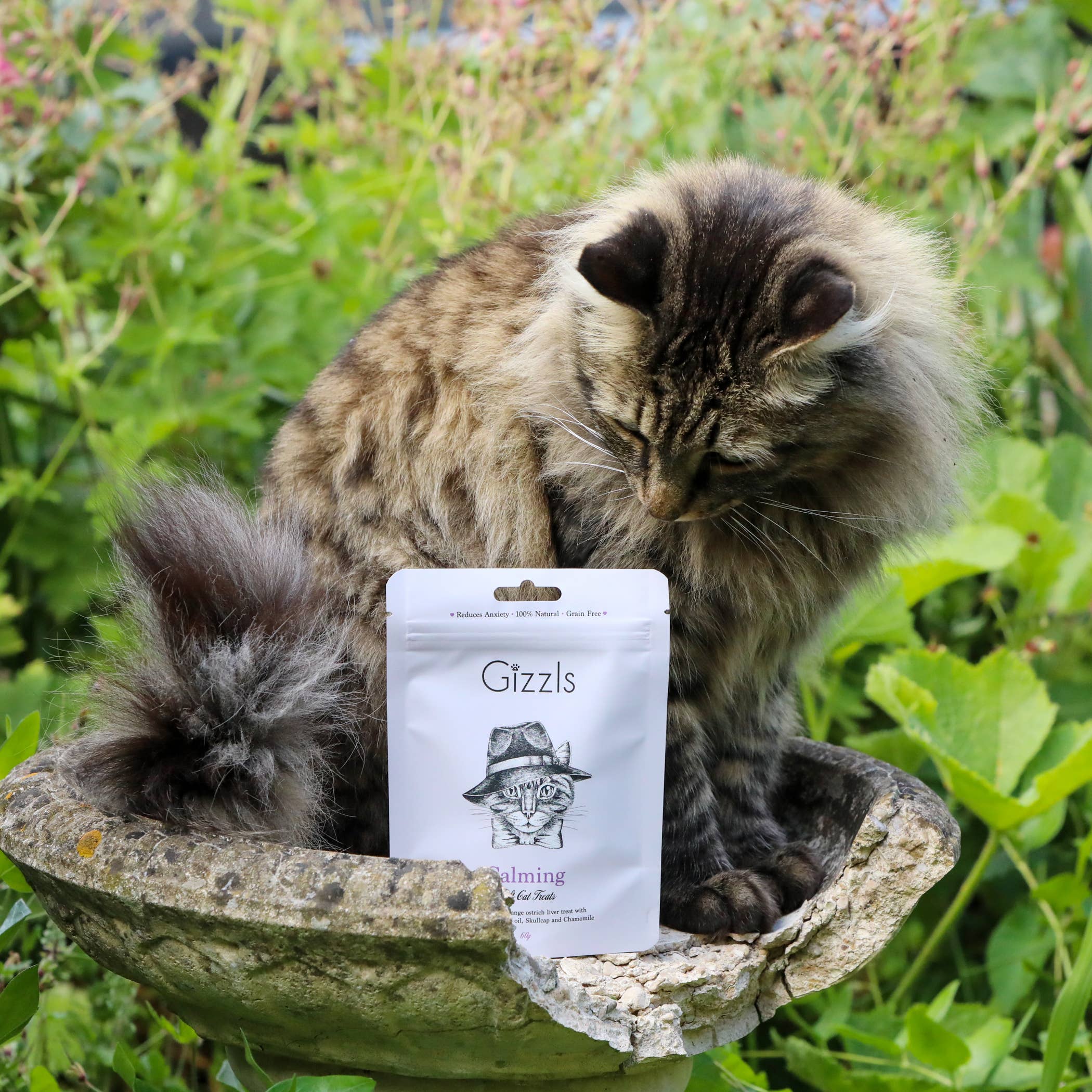 Friandises douces et apaisantes pour chats