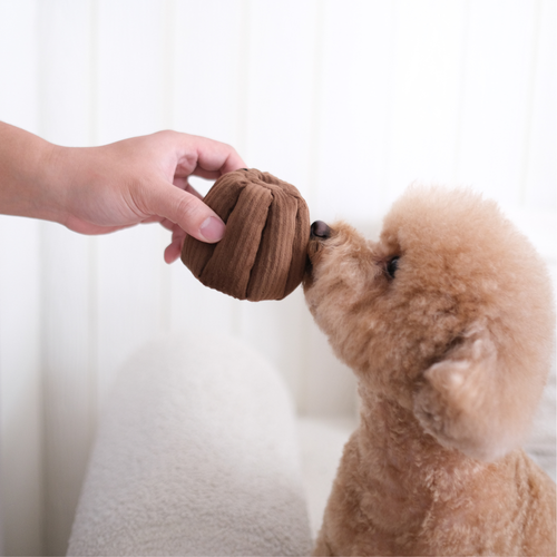 CANELE- Jouet d'enrichissement - lambwolf collective