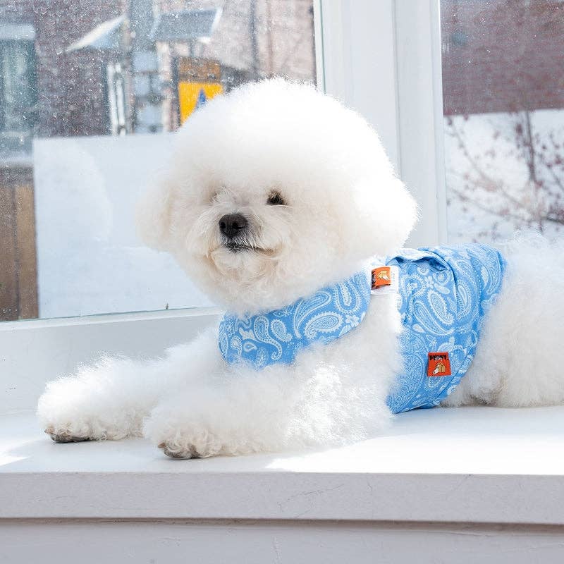 Bandana rafraîchissant Paisley Lover pour chien - Puppy Gallery
