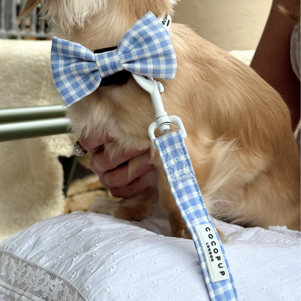 Nœud papillon English Blue – Cocopup London
