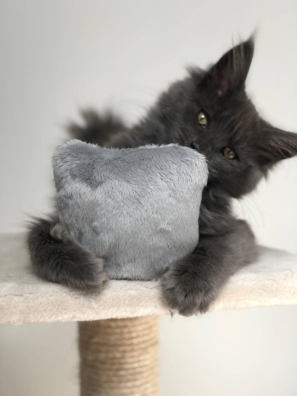 CACHEMIR' - Coussin à la Valériane apaisant pour chat