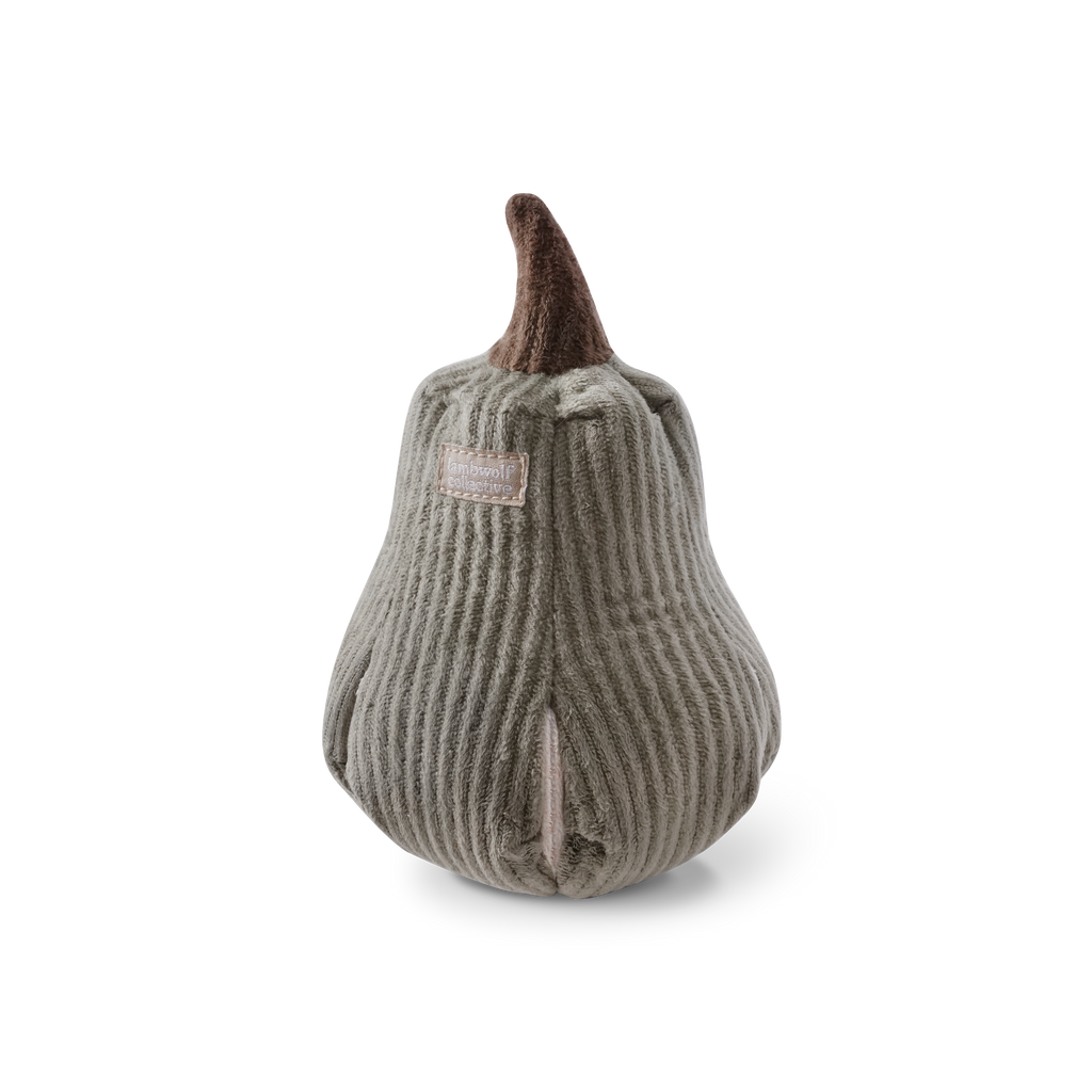 Jouet pour chien BUTTERNUT - Fouille