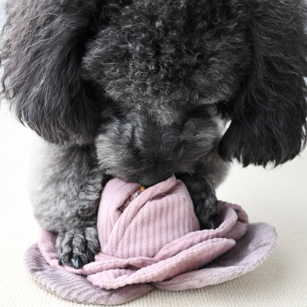 Jouet pour chien CHOU - Fouille