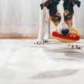 Jouet Hot Dog