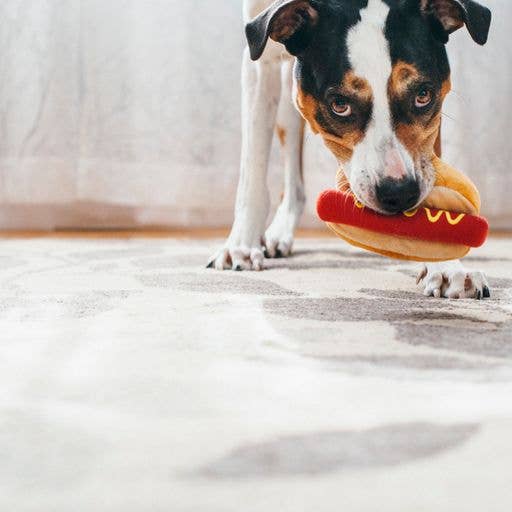 Jouet Hot Dog