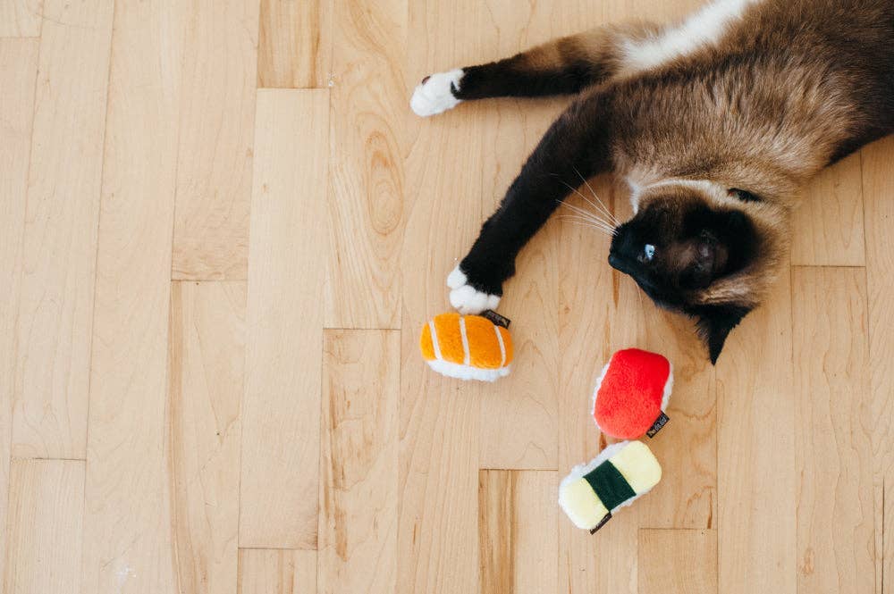 Sushis à l'herbe à chat