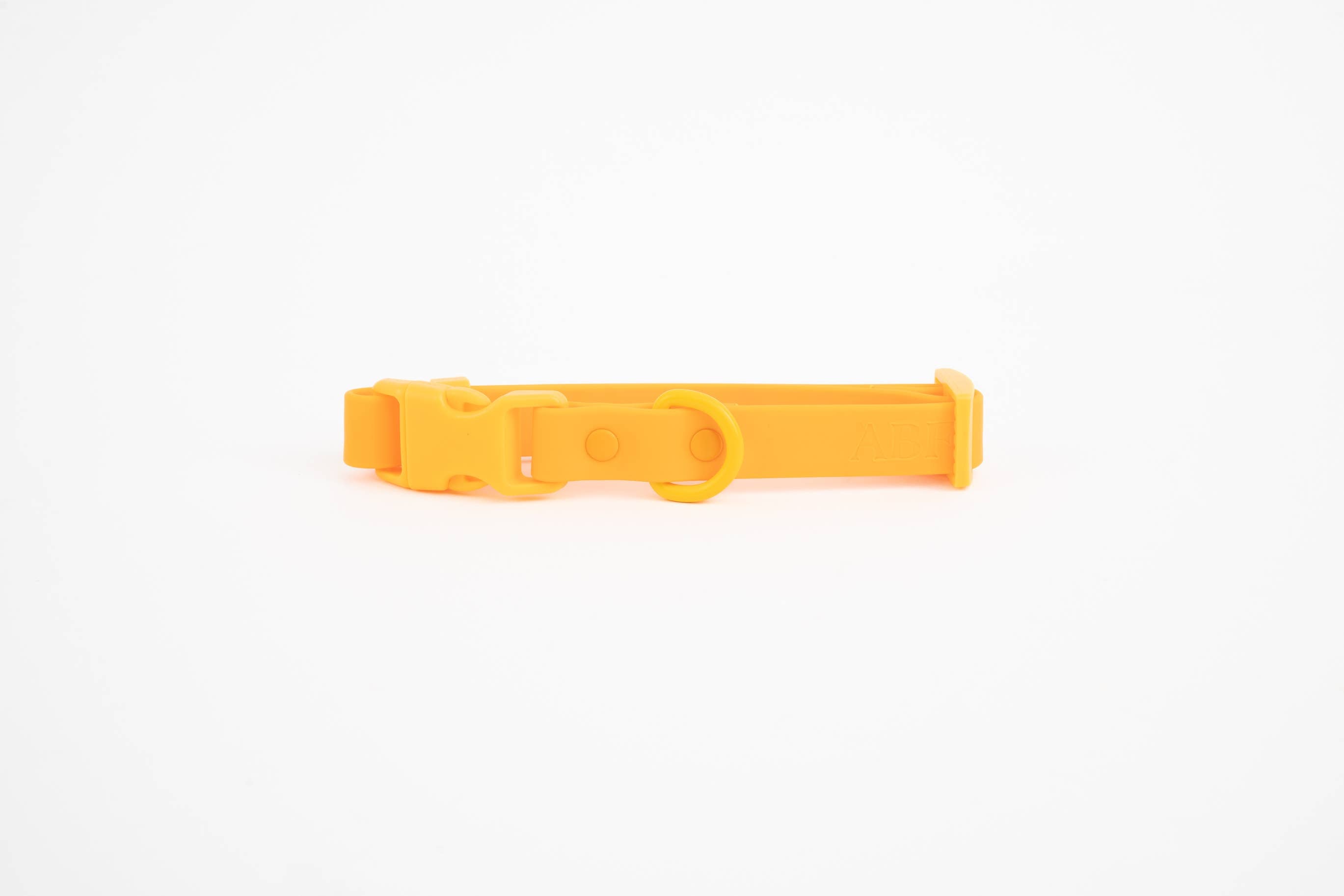 Le collier pour chien Fritz