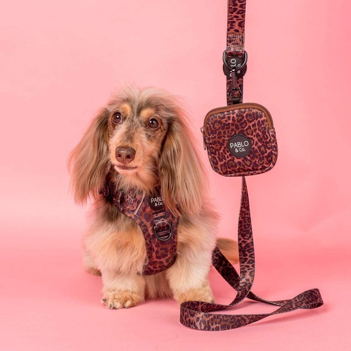 Pochette à friandises Léopard – Pablo & Co.