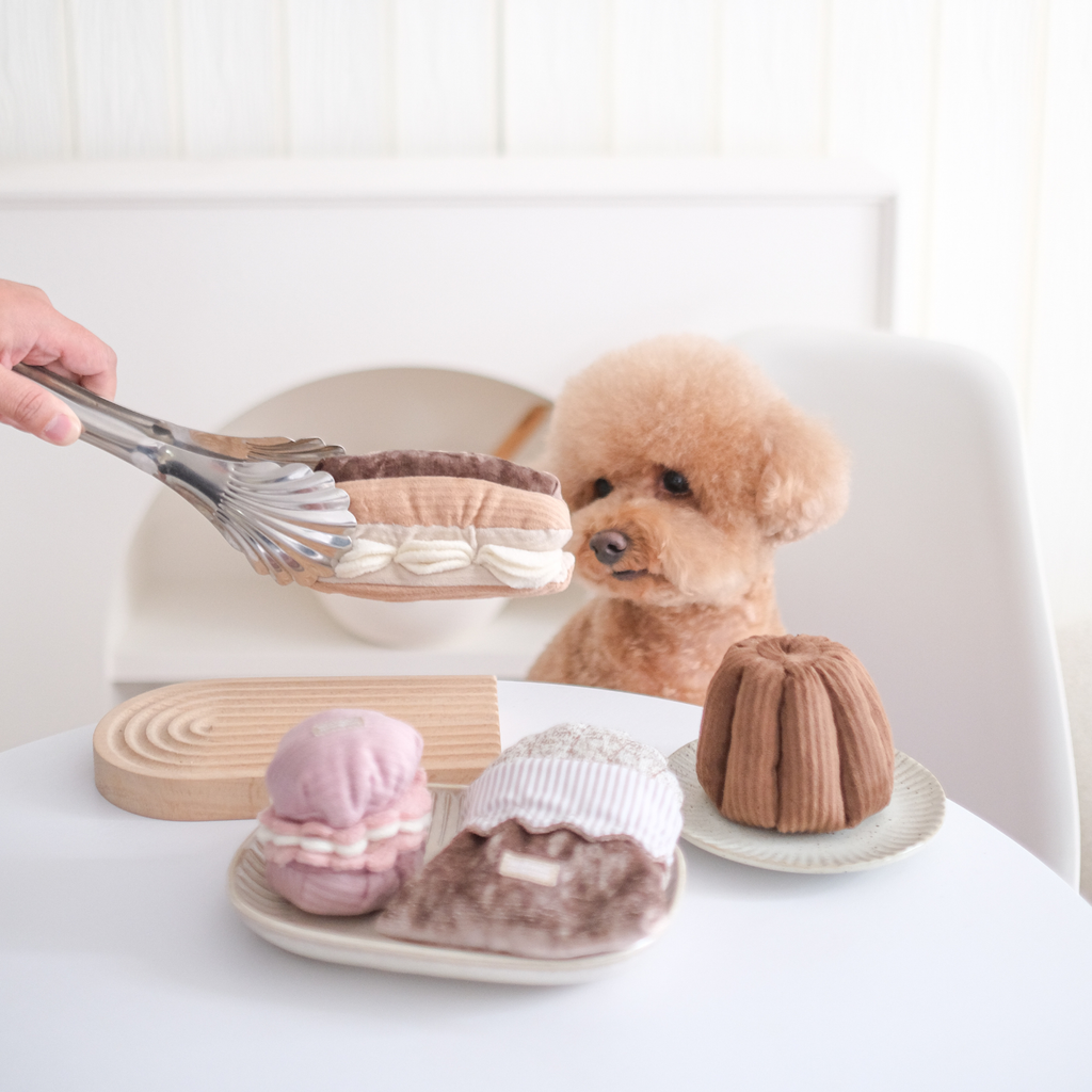 ECLAIR - Jouet d'enrichissement