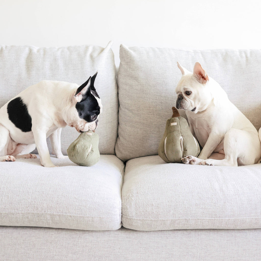 Jouet pour chien BUTTERNUT - Fouille