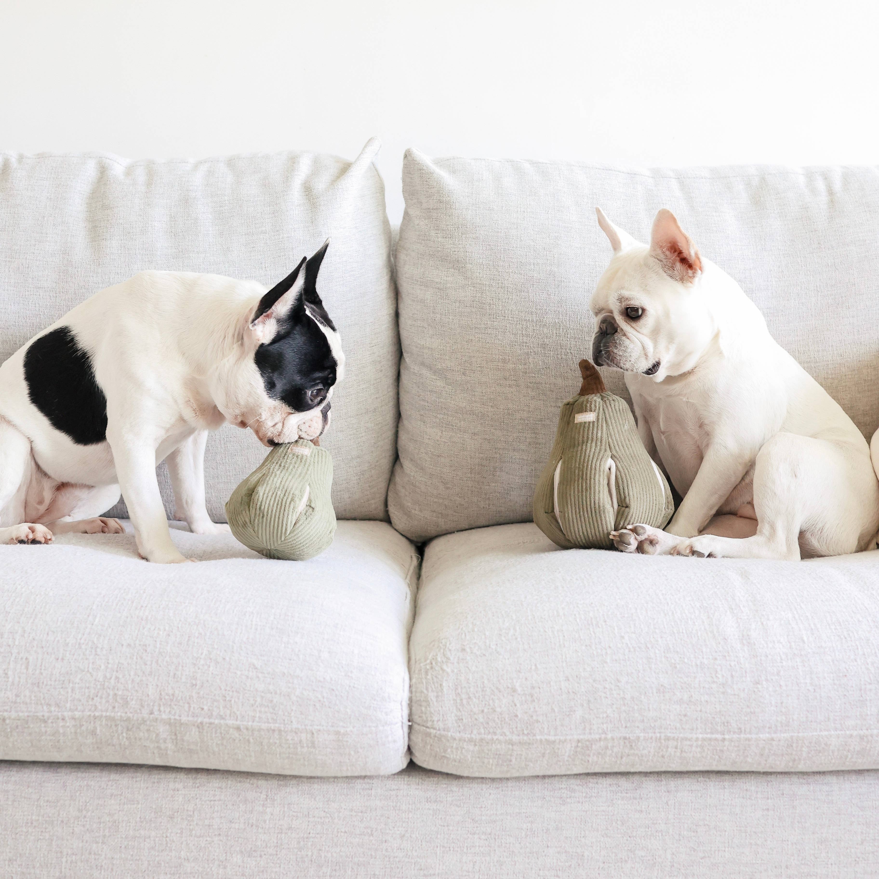 Jouet pour chien BUTTERNUT - Fouille