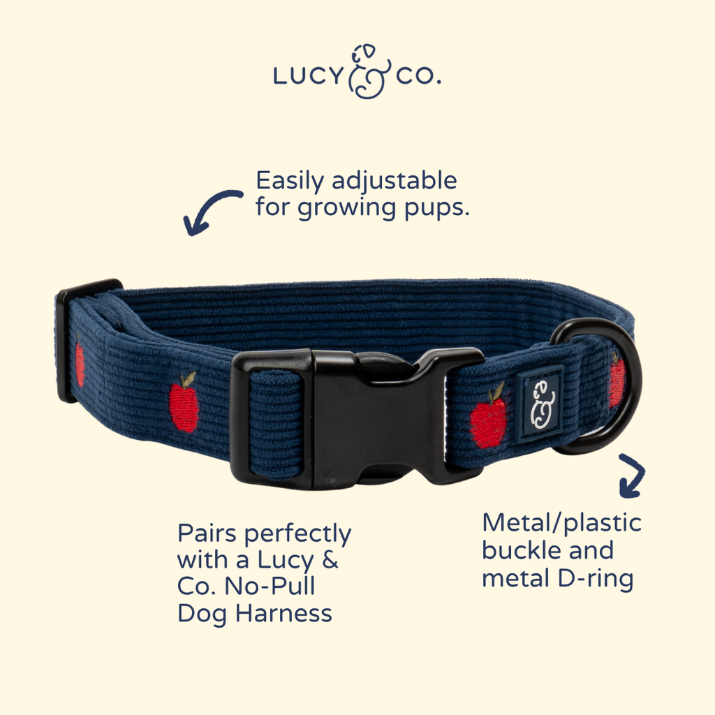 Collier Appley Ever After – Lucy & Co - Automne