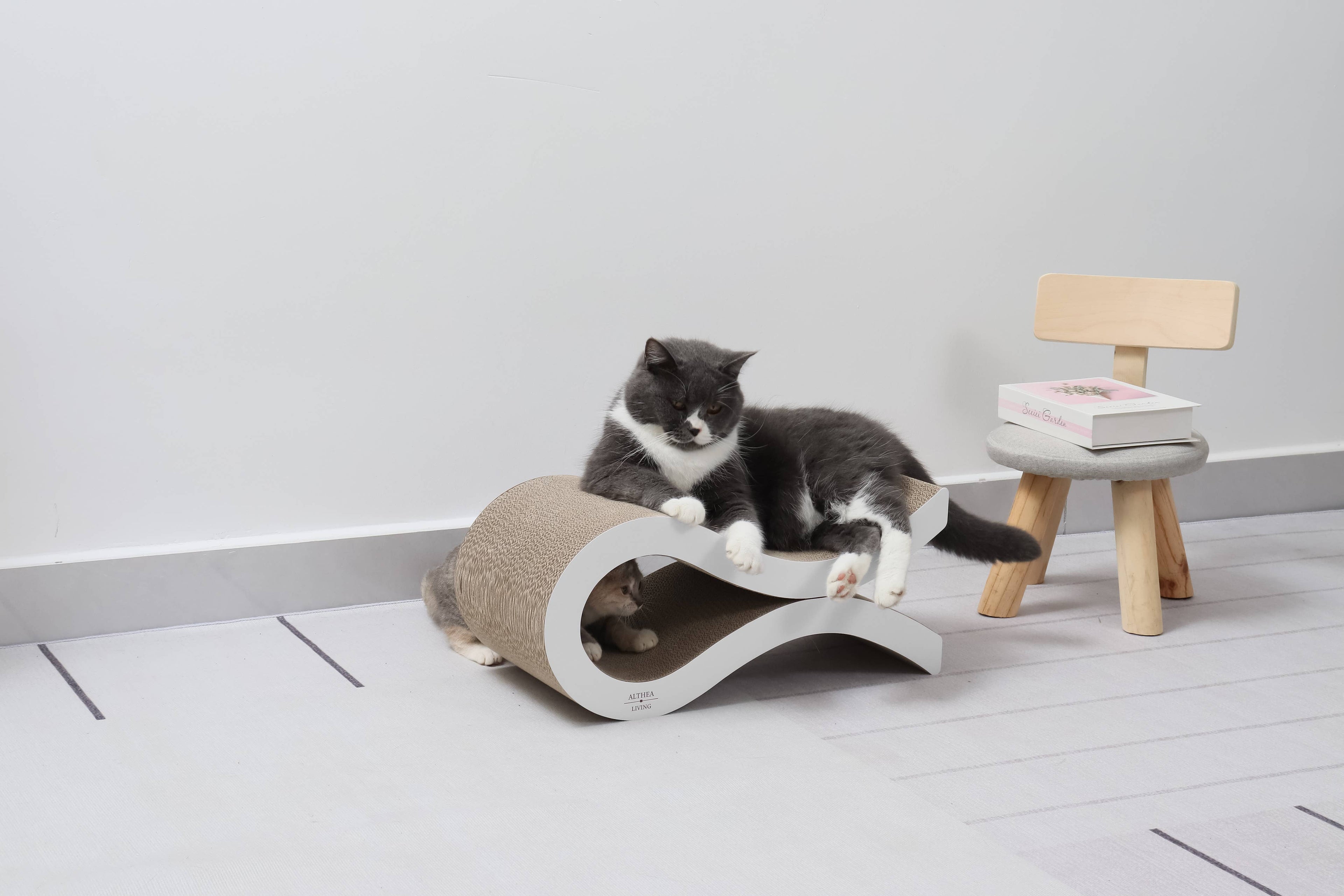 Griffoir ondulé pour chats