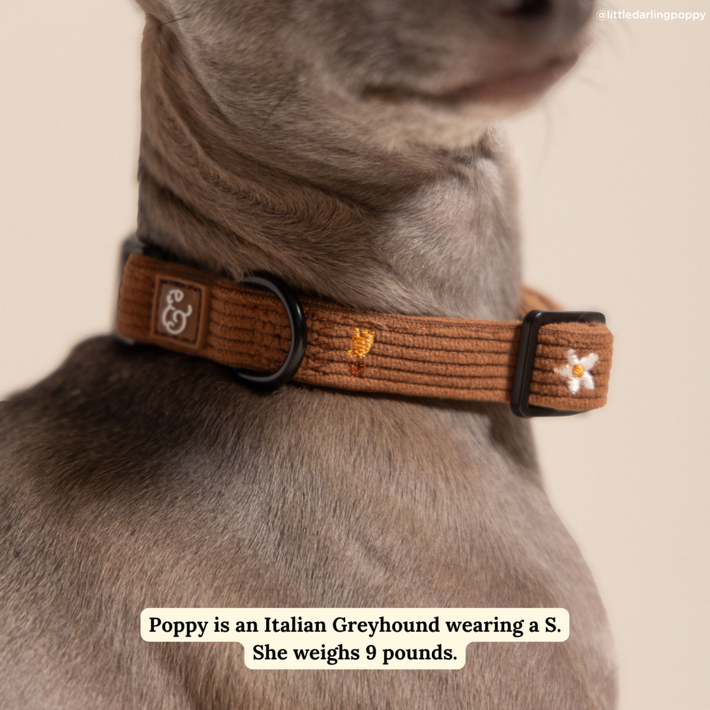 Collier Chocolate Meadows – Lucy & Co -Automne