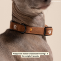 Collier Chocolate Meadows – Lucy & Co -Automne