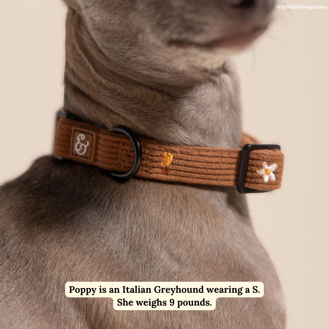 Collier Chocolate Meadows – Lucy & Co -Automne