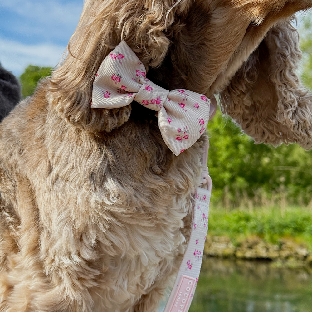 Nœud papillon English Rose – Cocopup London