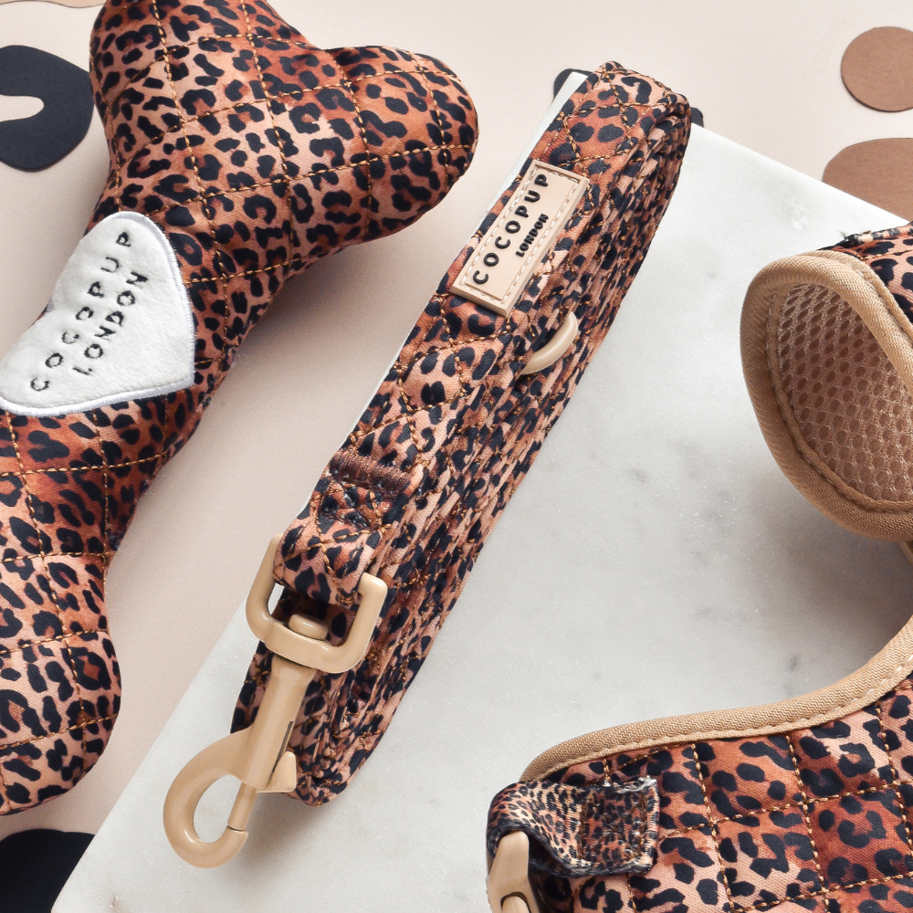 Laisse Matelassée Léopard – Cocopup London
