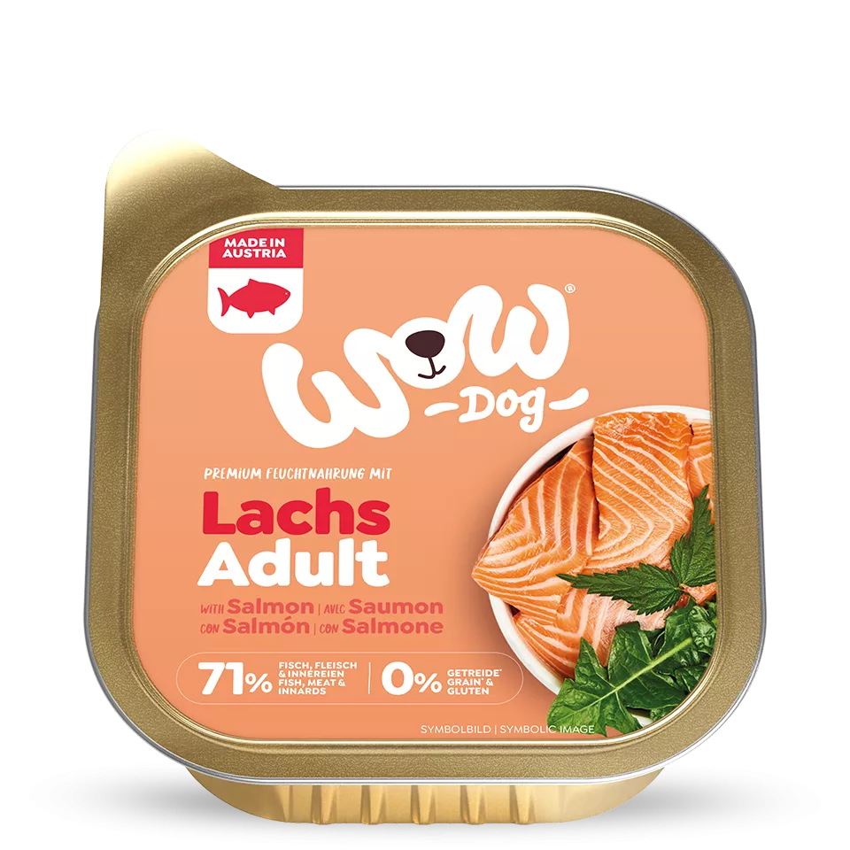 WOW Nourriture Humide pour Chien – 150g | Plusieurs Goûts