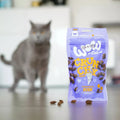 WOW Crunchy Snack au Poulet pour Chat – 60 g