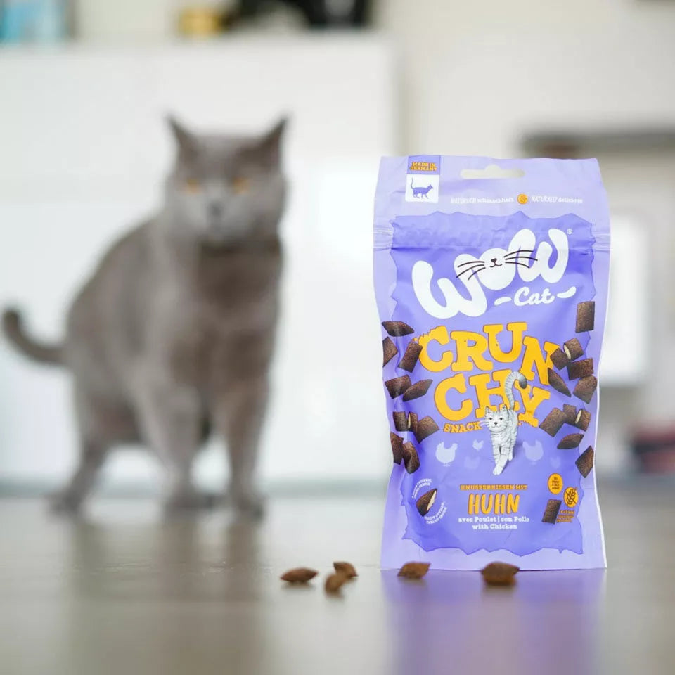 WOW Crunchy Snack au Poulet pour Chat – 60 g