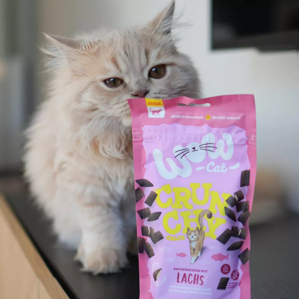 WOW Crunchy Snack Saumon – Friandise croustillante pour chat