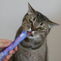 WOW Creamy Snack Saumon – Friandise crémeuse pour chat