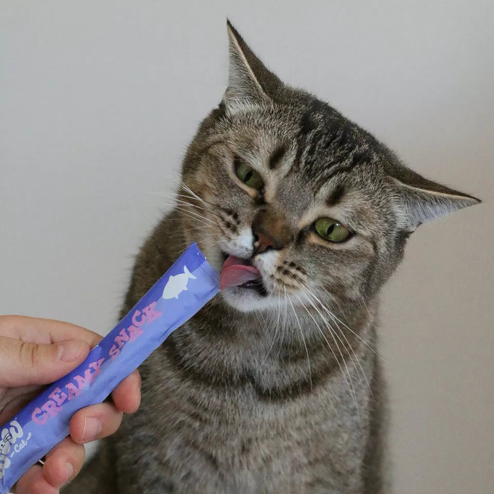 WOW Creamy Snack Saumon – Friandise crémeuse pour chat
