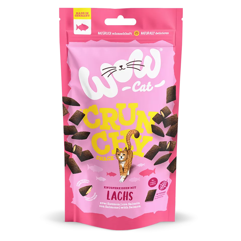 WOW Crunchy Snack Saumon – Friandise croustillante pour chat