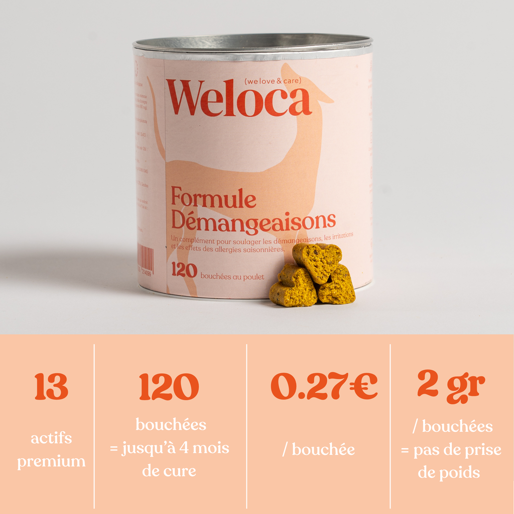 Weloca – Complément Démangeaisons pour chien (120 bouchées)