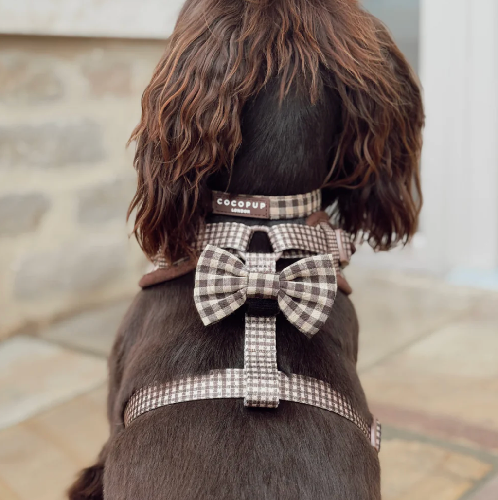 Collier Cotswolds à carreaux – Cocopup London