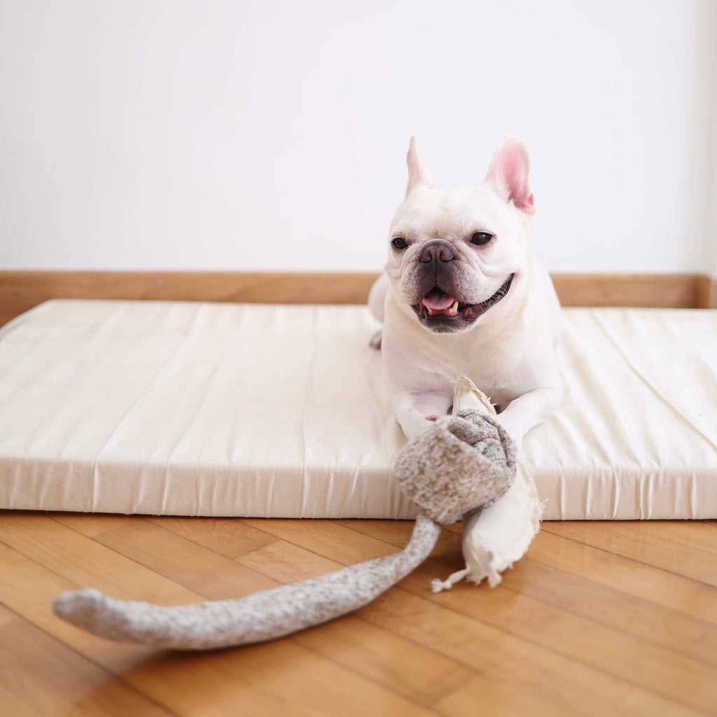 Jouet pour chien ESCARGOT - Fouille